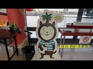 2025､9､14宮崎カーフェリー乗船