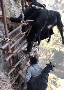 Le secret de l'agriculture intelligente | Fermici