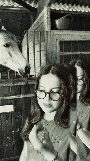 Mini Giro vs big Giro 🤣 #equitation #poney #cheval #horse