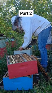 Part 2 - Hive inspection walk thru. #beekeeping #beekeeper #beekeeperslife #education #learnontiktok #learn #diy #walkthrough #learning | Mueller Honey Bee