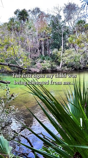 Signs of Parental Alienation: Understanding the Distance