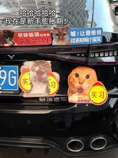 Hahaha, it’s the newbie’s inflated car sticker now. Look at it. I never expected that the newbie