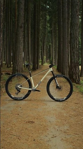PDQ - The all new race hardtail