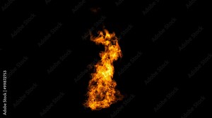 Realistic Fire with alpha, Full HD. Fire Animation