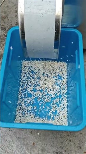 how to dice an eggplant | Eggplant dicing machine | Eggplant Cutting Machines and Equipment