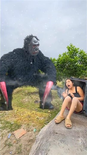 Ferocious Giant Gorilla Monsters Attack Beautiful Brave Girl Scaredly Hiding In Suitcase For Help