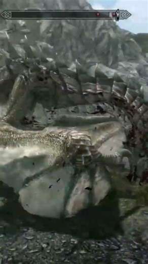 bro its like a zoo in here #skyrim