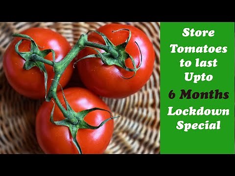 Best way to store TOMATOES for months,4 Easy Tomato Preservation Tips,make & store TOMATO PUREE