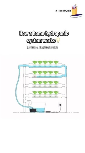 #build #your #gardening #diy #home