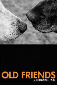 Old Friends: A Dogumentary (2022) Streaming - Where to Watch Online