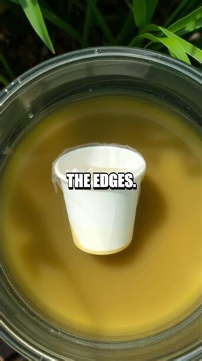 The Solar-Powered Water Purifier Experiment