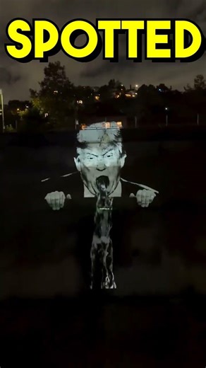 MAGA SWAMP DRAINED BILLBOARD SPOTTED