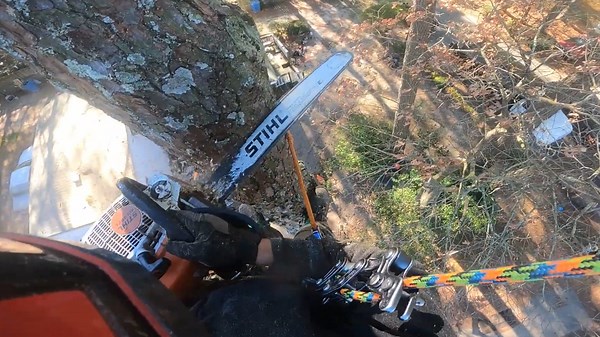Efficient SRT Climbing for Three 100' Pines Removal Smooth and Safe Process