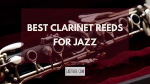 The Best Clarinet Reeds [And Ones To Avoid!!]