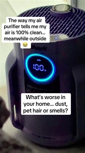 Transform Your Home with Effective Air Purification