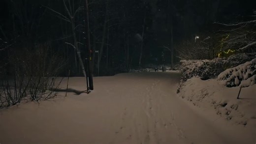 Slowed Version of Fireflies: A Unique Musical Experience