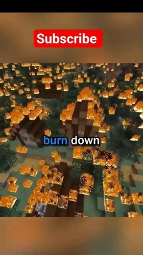 I Left My Minecraft World for 1 Million Years… This Happened