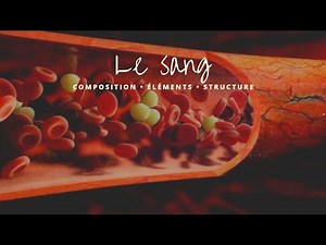 La structure du sang