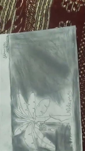 my coconut tree drawing