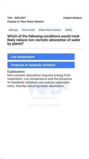 12th Biology Plant Water Relation MCQ Explained