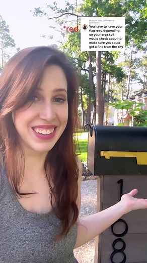 Alien Mailbox Flag Mystery Unveiled!