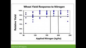 Profitable Wheat Production Apply the right rate, at the right time, in the right form — boost wheat performance, reduce losses, and build soil health.#WheatFarming #NitrogenEfficiency #SustainableAg John MacRobert Africa Food Prize | Mudhumeni Mukuru