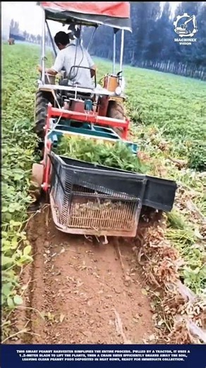 Smart Peanut Harvesting Machine Innovation for Efficient Small - Scale Farming
