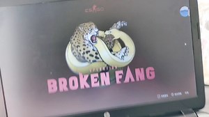 7Lanucher破解版csgo，全皮肤！