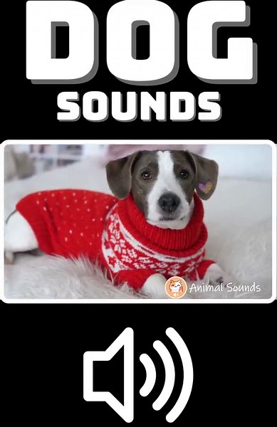 Dog Sounds 🔉 Funny dogs and puppy | Animal Sounds for Kids