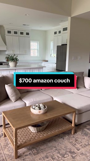An Honest Review of Our $700 Couch | Stain-Resistant with Modular Design