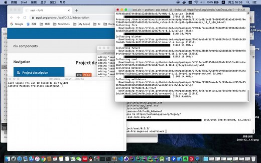 rasa bot: 中文支持, 通用实体的抽取, 领域实体的训练