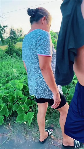 Ferm (@ferm_and_roy)’s videos with original sound - Ferm