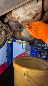 Differential fluid service on this Lexus IS. | Next Level Auto