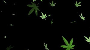 "Marijuana Leaf" Images – Browse 13,877 Stock Photos, Vectors, and Video