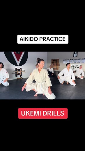 Aikido Ukemi Drills | Martial Fusion with Guillermo Gomez