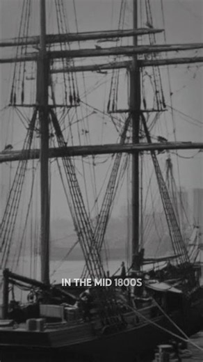 How Ships Became Insurance Traps before the Plimsoll Line Part 1