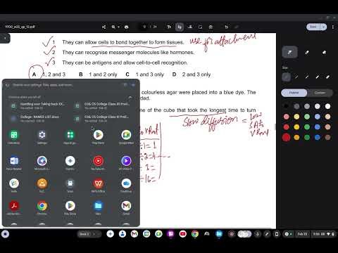 9700 As Level Bio Paper 12 oct/nov 2025 solved Q13 to Q40 part 2
