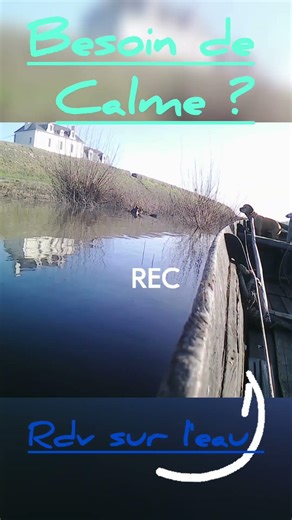 HD Balade en bateau - Moment détente - Anti-stress #short