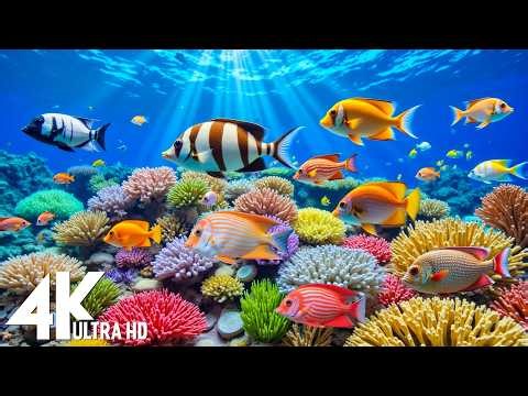 Marvel at Sea Animal in The Best 4K ULTRA HD Aquarium-Dive Into The Mesmerizing Underwater Realm #19