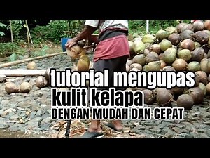 CARA MENGUPAS KULIT KELAPA DENGAN MUDAH