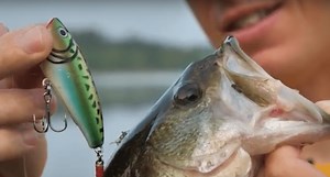 Video: Here's Some Tips on Using Poppers