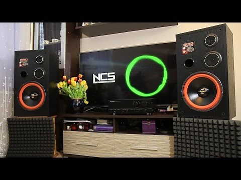 Linear Phase 8810 + Marantz PM-50 sound & bass excursion test