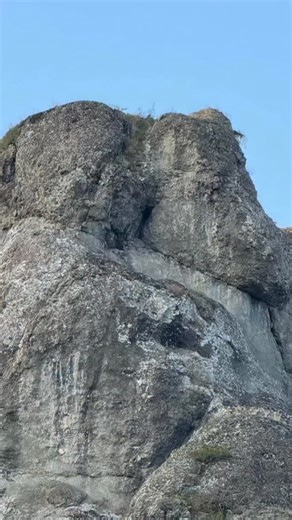 478K views · 3.4K reactions | Yatan Domuz Define İşaretini Gören bir Definecinin Uyuduğunda Rüyasında Göreceği Standart Rüya Define Avcılığı bir Hobidir #Domuz #define #işareti #defineci #rüya #avcılığı A Dream that a Treasure Hunter Seeing a Lying Pig Treasure Sign Will See in Her Dream When She Sleeps Treasure Hunting is a Hobby #Pig #treasure #sign #treasurehunter #dream #hunting | Defineye Giden Yol - The way to The Treasure | Facebook