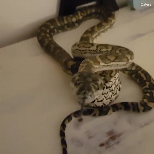 24K views · 54 reactions | I'm going to check my whole house when I get home  | Daily Mail Video | Facebook