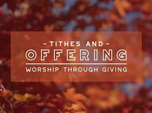 Fall Focus Offering | Motion Worship
