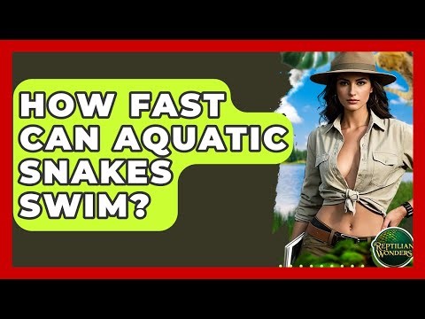 How Fast Can Aquatic Snakes Swim? - Reptilian Wonders