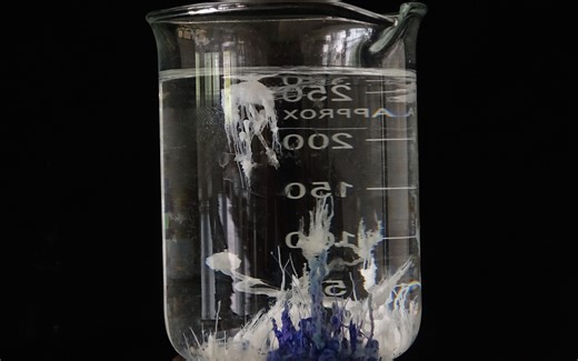 水中花园——硅酸钠与金属盐的反应