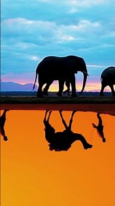 Award-Winning Azamara Cruises - The Art of Small-Ship Cruising