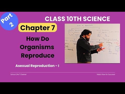 Asexual Reproduction Class 10 | Science Ch 7 Fission & Fragmentation#reproduction #asexual #biology