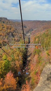 This is a list of my favorite things to do in Red River Gorge! Kentucky has so many beautiful locations and this is one of them. Did you know there are over 100 natural sandstone arches here?! 🤯 The Natural Bridge is a sandstone rock bridge that is 65 feet in height and spans 78 feet in length. You can walk across it! There's a steep trail up to it or you can go the easy way and take the sky lift! The view at the top is incredible and shown in the first clip of this reel. Gorge Underground has 
